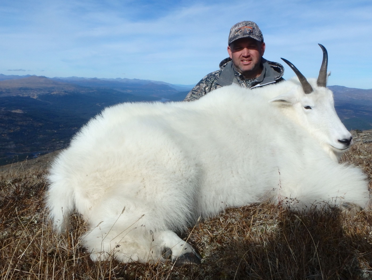 Mountain Goat Hunts