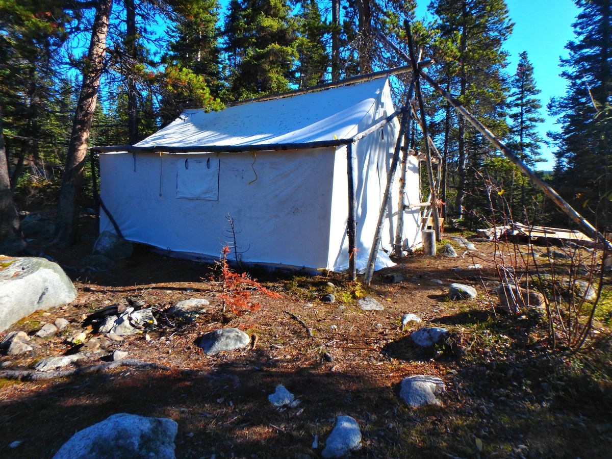Moose Hunt Tents